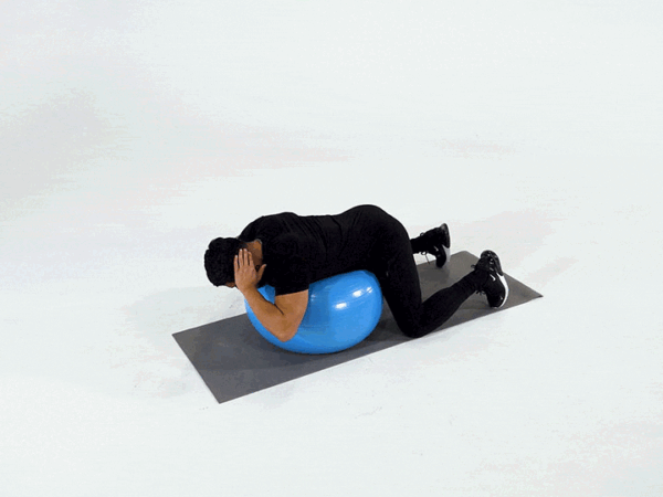 Stability Ball Back Extension with Hands Behind Head