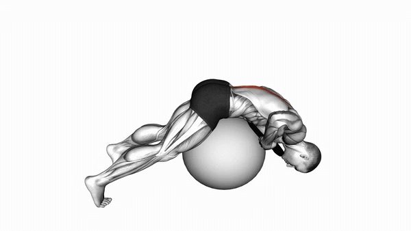 Stability Ball Back Extension with Knees Off Ground