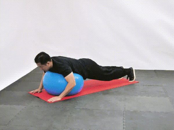 Stability Ball Shoulder Flexion
