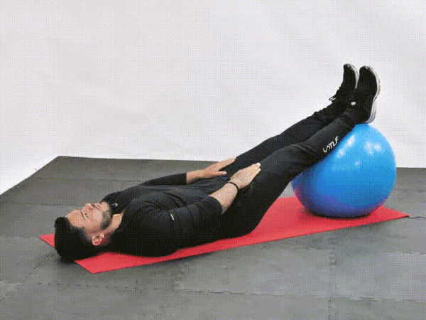 Stability Ball Straight Leg Crunch