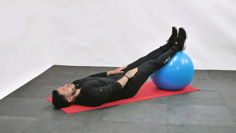 Stability Ball Straight Leg Crunch