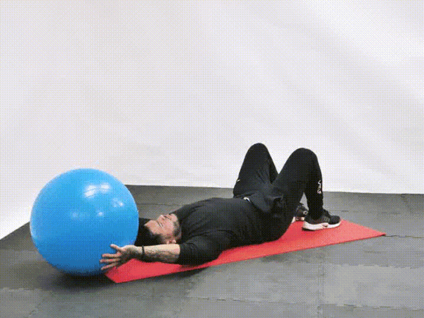 Abs with Stability Ball
