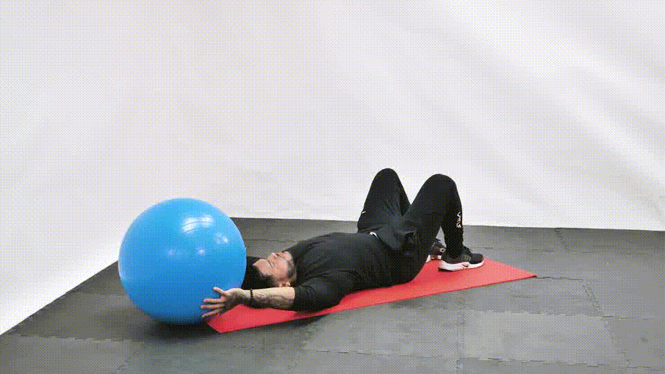 Abs with Stability Ball