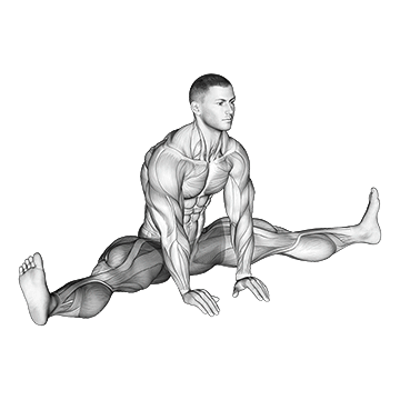 Straddle Stretch