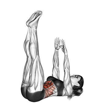 Toe Touches Abs