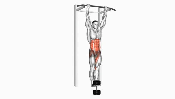 Weighted Hanging Knee Raise