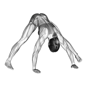 Wide-Leg Stretch